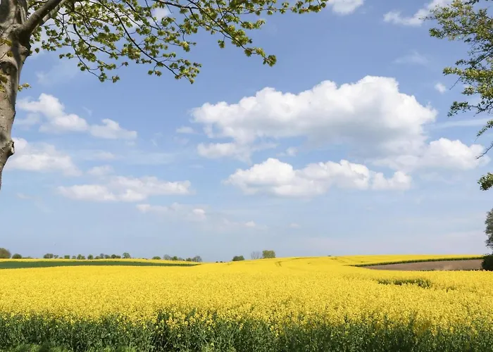 Casa vacanze Seewolke 14 *